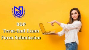 Read more about the article NSOU BDP Exam Form Submission Online – Term End Examination 2021